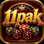 11PAK logo