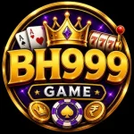 BH999 logo