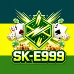 SK-E999 Logo